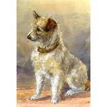 E.J. PENNEFATHER seated long haired terrier, watercolour, signed, 50 x 34.5cm