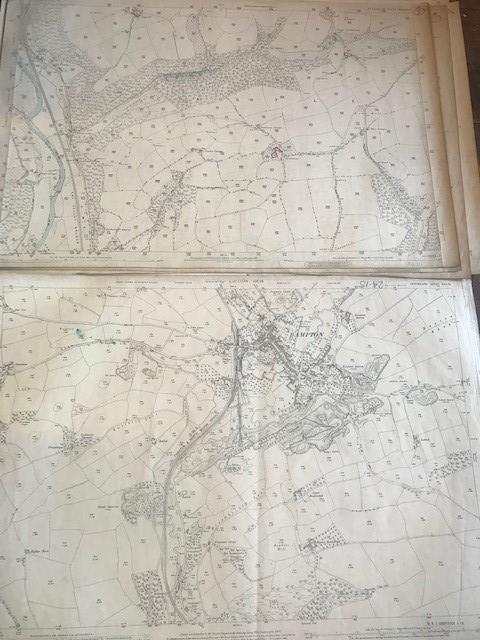 THIRTY 1:2500 ORDNANCE SURVEY MAPS featuring Clyst St Lawrence, Wolverstone, Hele, Sampford - Image 7 of 16