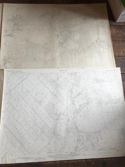 THIRTY 1:2500 ORDNANCE SURVEY MAPS, relating to Wembon, Durleigh, Creech St Michael, Durston, - Image 5 of 16