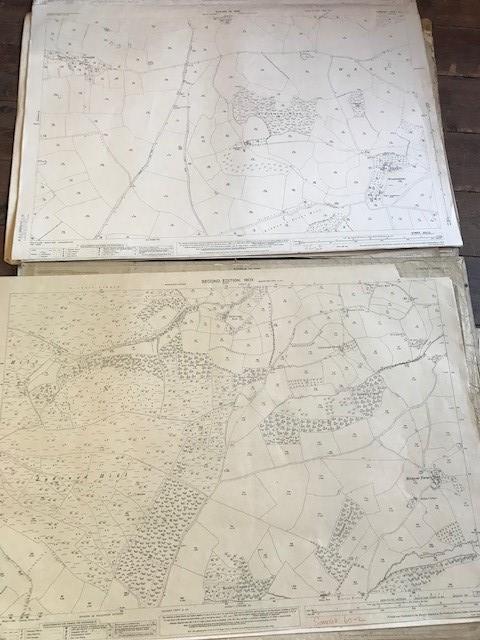 THIRTY 1:2500 ORDNANCE SURVEY MAPS featuring Sutton Montis, Weston Rampflyde, Chard, East - Image 8 of 16