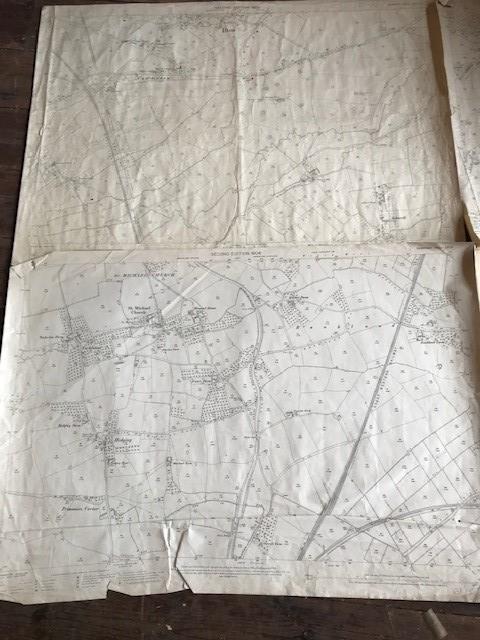THIRTY 1:2500 ORDNANCE SURVEY MAPS relating to Rushiton, Durston , Woolavington, Wantage, - Image 12 of 16