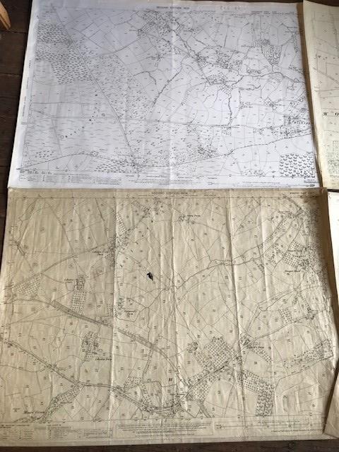 THIRTY 1:2500 ORDNANCE SURVEY MAPS relating to Rushiton, Durston , Woolavington, Wantage, - Image 4 of 16