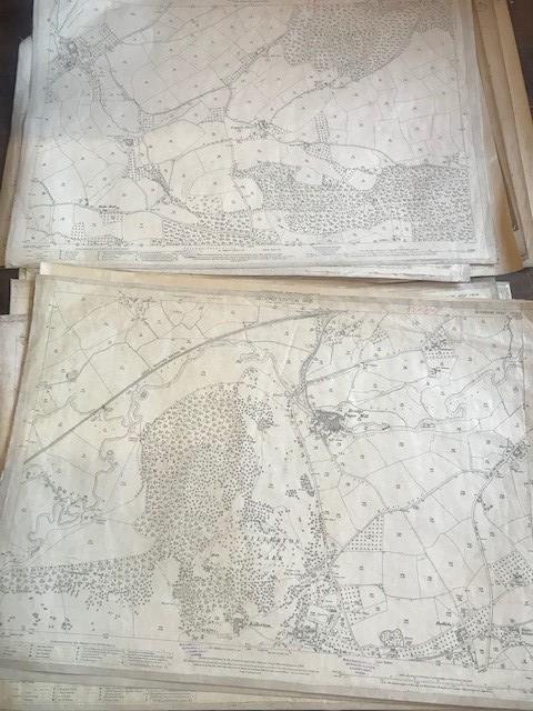 THIRTY 1:2500 ORDNANCE SURVEY MAPS featuring Clyst St Lawrence, Wolverstone, Hele, Sampford - Image 15 of 16