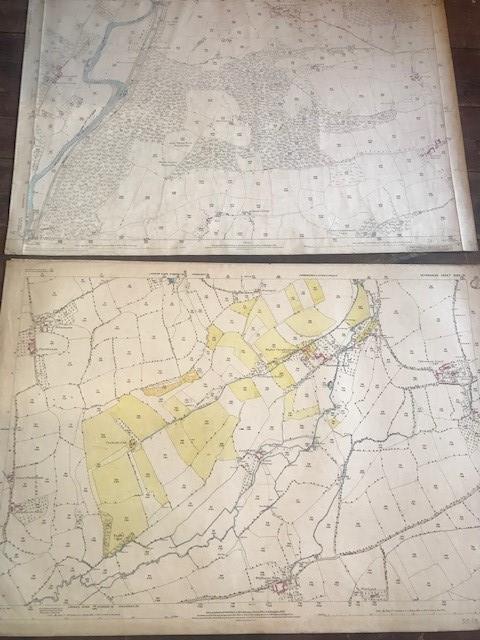 THIRTY 1:2500 ORDNANCE SURVEY MAPS featuring Clyst St Lawrence, Wolverstone, Hele, Sampford