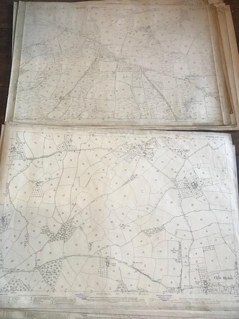 THIRTY 1:2500 ORDNANCE SURVEY MAPS featuring Clyst St Lawrence, Wolverstone, Hele, Sampford - Image 10 of 16