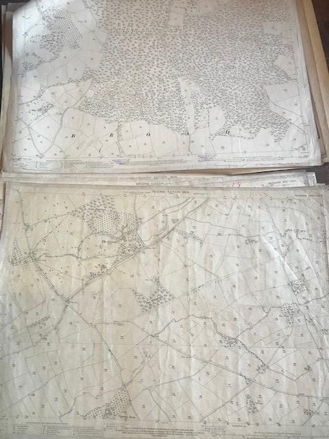 THIRTY 1:2500 ORDNANCE SURVEY MAPS featuring Clyst St Lawrence, Wolverstone, Hele, Sampford - Image 13 of 16