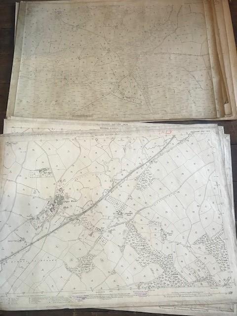 THIRTY 1:2500 ORDNANCE SURVEY MAPS featuring Clyst St Lawrence, Wolverstone, Hele, Sampford - Image 12 of 16