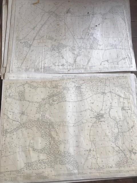 THIRTY 1:2500 ORDNANCE SURVEY MAPS relating to Templeton, Cullompton, Calverleigh, Tiverton, - Image 2 of 16