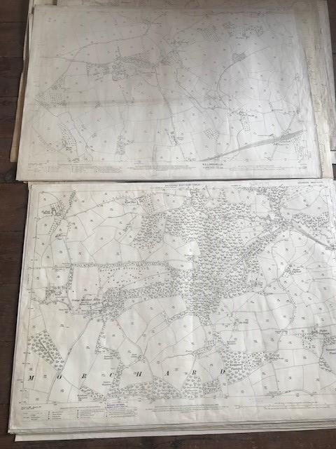 THIRTY 1:2500 ORDNANCE SURVEY MAPS relating to Templeton, Cullompton, Calverleigh, Tiverton, - Image 4 of 16