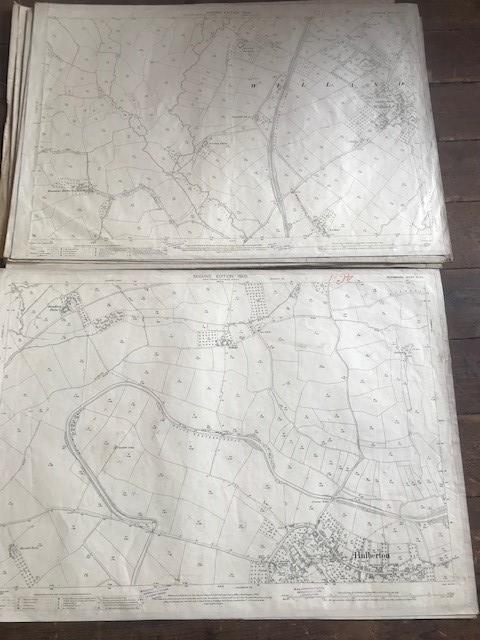 THIRTY 1:2500 ORDNANCE SURVEY MAPS relating to Templeton, Cullompton, Calverleigh, Tiverton, - Image 12 of 16