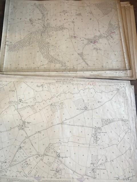 THIRTY 1:2500 ORDNANCE SURVEY MAPS featuring Clyst St Lawrence, Wolverstone, Hele, Sampford - Image 9 of 16