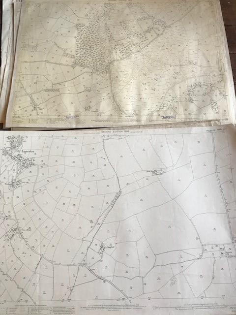 THIRTY 1:2500 ORDNANCE SURVEY MAPS featuring East Chinook. Dunkerswell, Broad Hembury, Frome, - Image 13 of 16