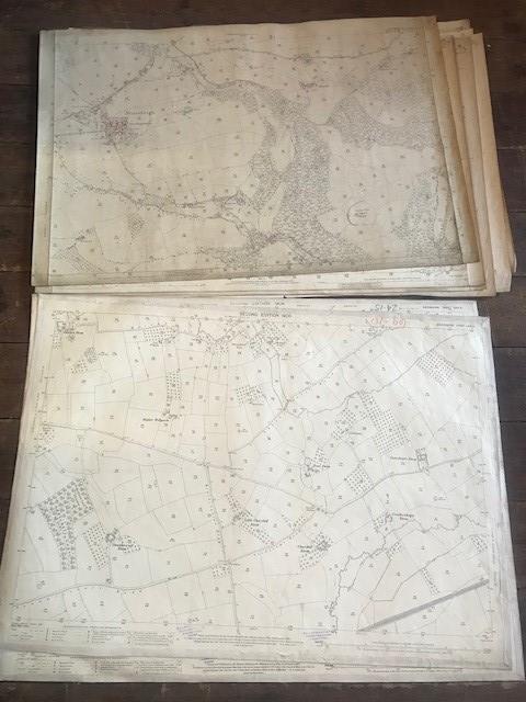 THIRTY 1:2500 ORDNANCE SURVEY MAPS featuring Clyst St Lawrence, Wolverstone, Hele, Sampford - Image 8 of 16