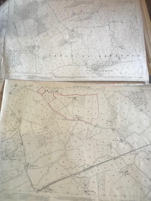 THIRTY 1:2500 ORDNANCE SURVEY MAPS featuring Clyst St Lawrence, Wolverstone, Hele, Sampford - Image 14 of 16