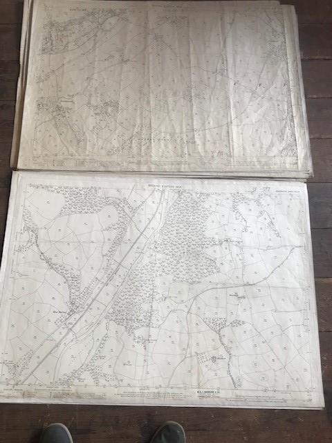 THIRTY 1:2500 ORDNANCE SURVEY MAPS relating to Templeton, Cullompton, Calverleigh, Tiverton, - Image 11 of 16