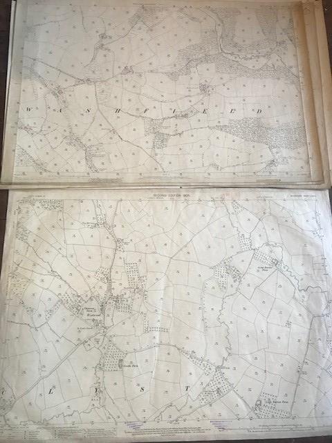THIRTY 1:2500 ORDNANCE SURVEY MAPS featuring Clyst St Lawrence, Wolverstone, Hele, Sampford - Image 6 of 16
