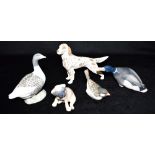 FIVE ROYAL COPENHAGEN ANIMAL FIGURES: 1934 Mallard, 3252 Irish Setter, 1081 Sparrow, 3169 Pug dog,