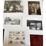 RACHEL ANN LE BAS, N.E.A.C., R.E. (ENGLISH, 1923-2020) 'Tree Stumps', etching, limited edition 22/