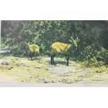 DAVID SHEPHERD OBE (b.1931) 'African Afternoon' Limited edition print Signed in pencil, numbered