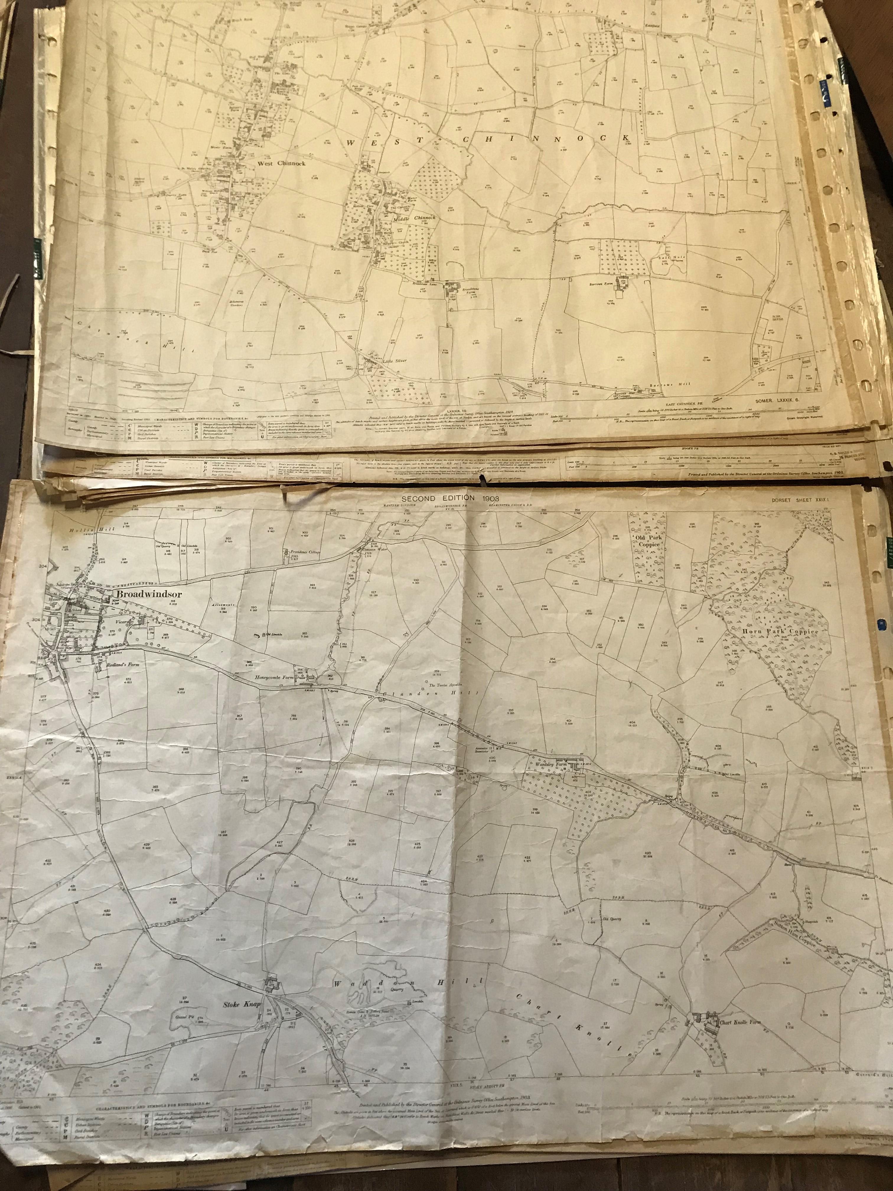 COLLECTION OF THIRTY 1:2500 ORDNANCE SURVEY MAPS covering Middle chinnock; Broadwindsor; Frome St - Image 3 of 14