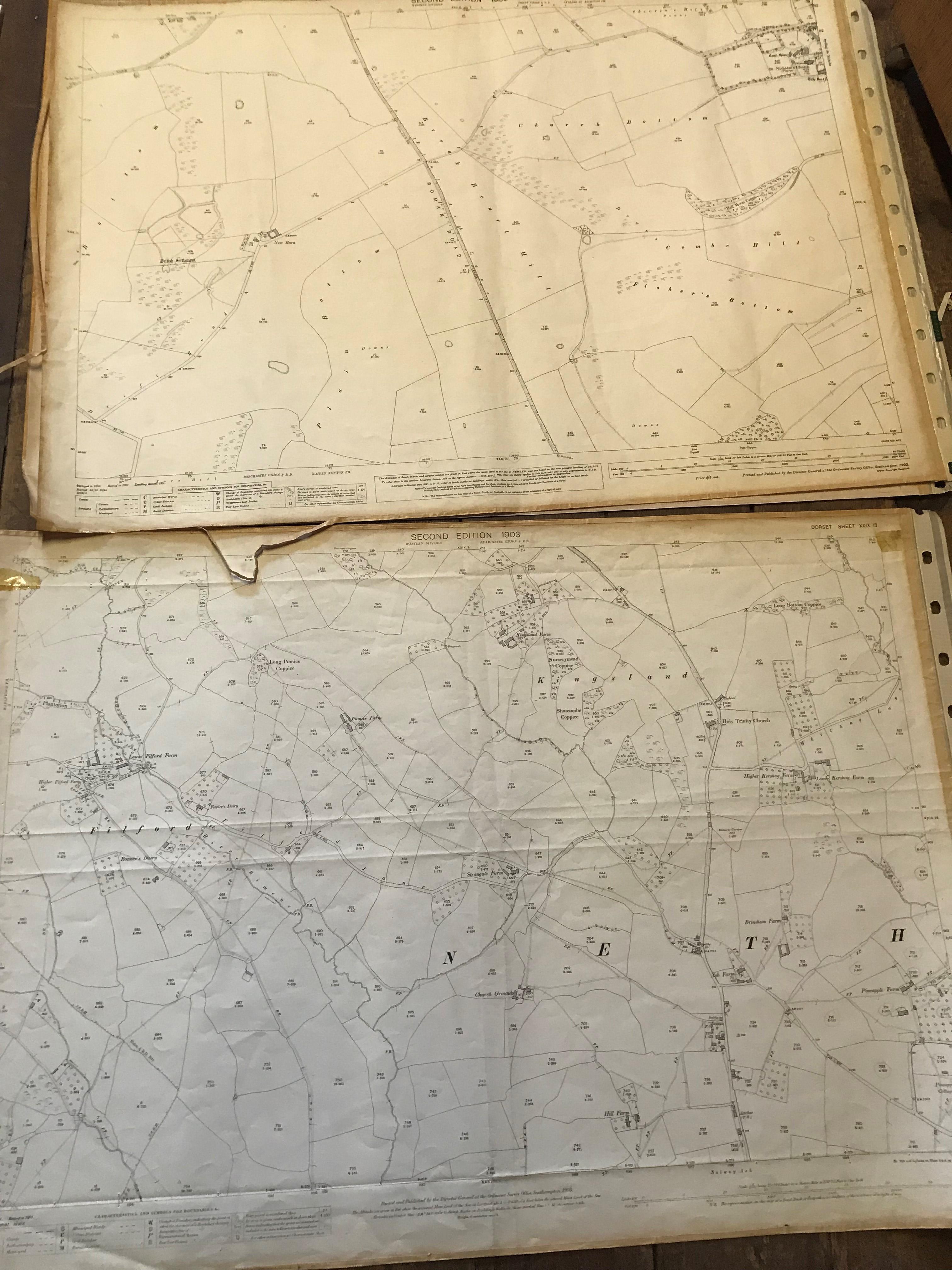 COLLECTION OF THIRTY 1:2500 ORDNANCE SURVEY MAPS covering Middle chinnock; Broadwindsor; Frome St - Image 13 of 14