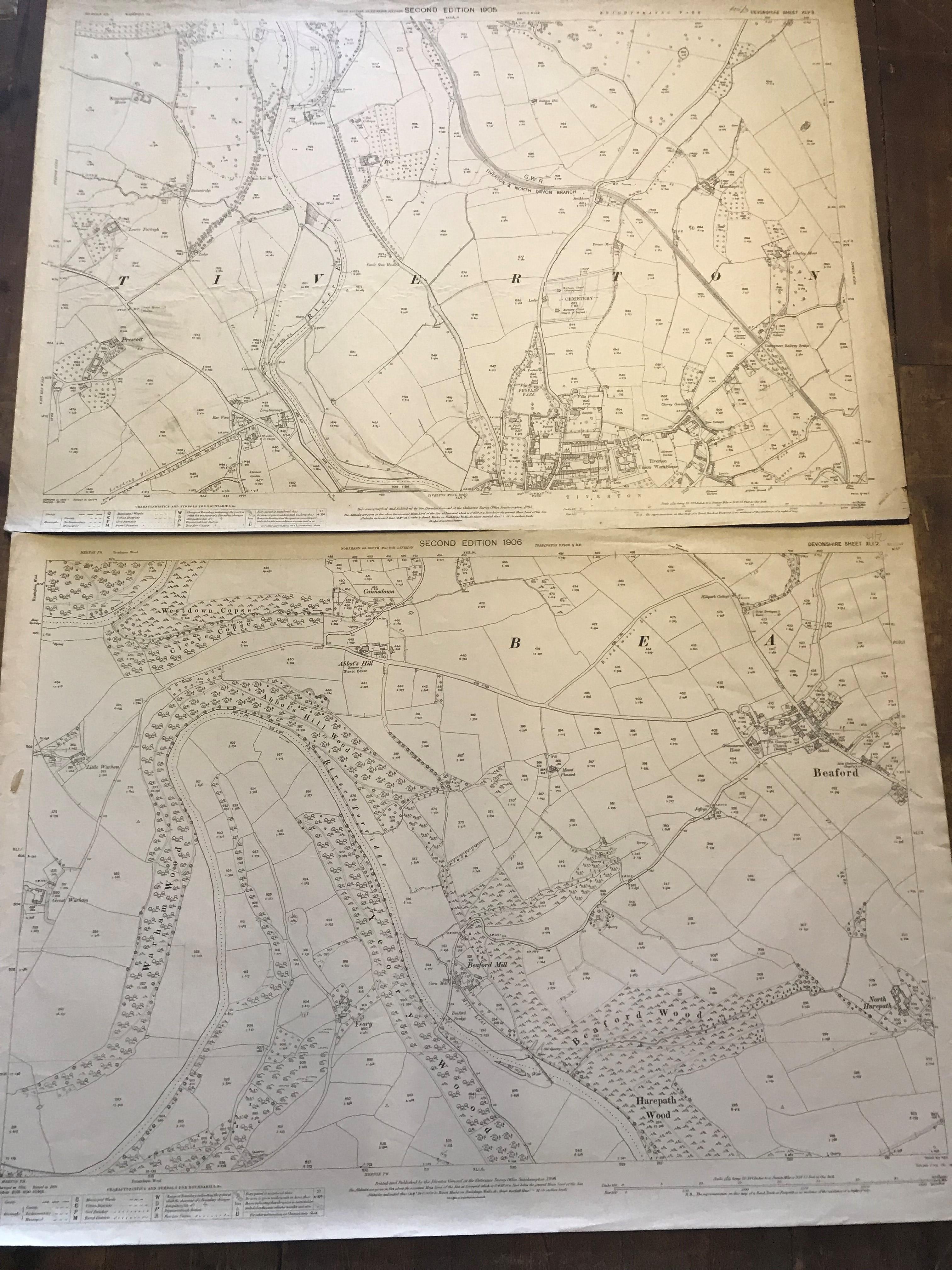 COLLECTION OF THIRTY 1:2500 ORDNANCE SURVEY MAPS covering Dunkerswell; Kennford; Luppitt; - Image 10 of 14