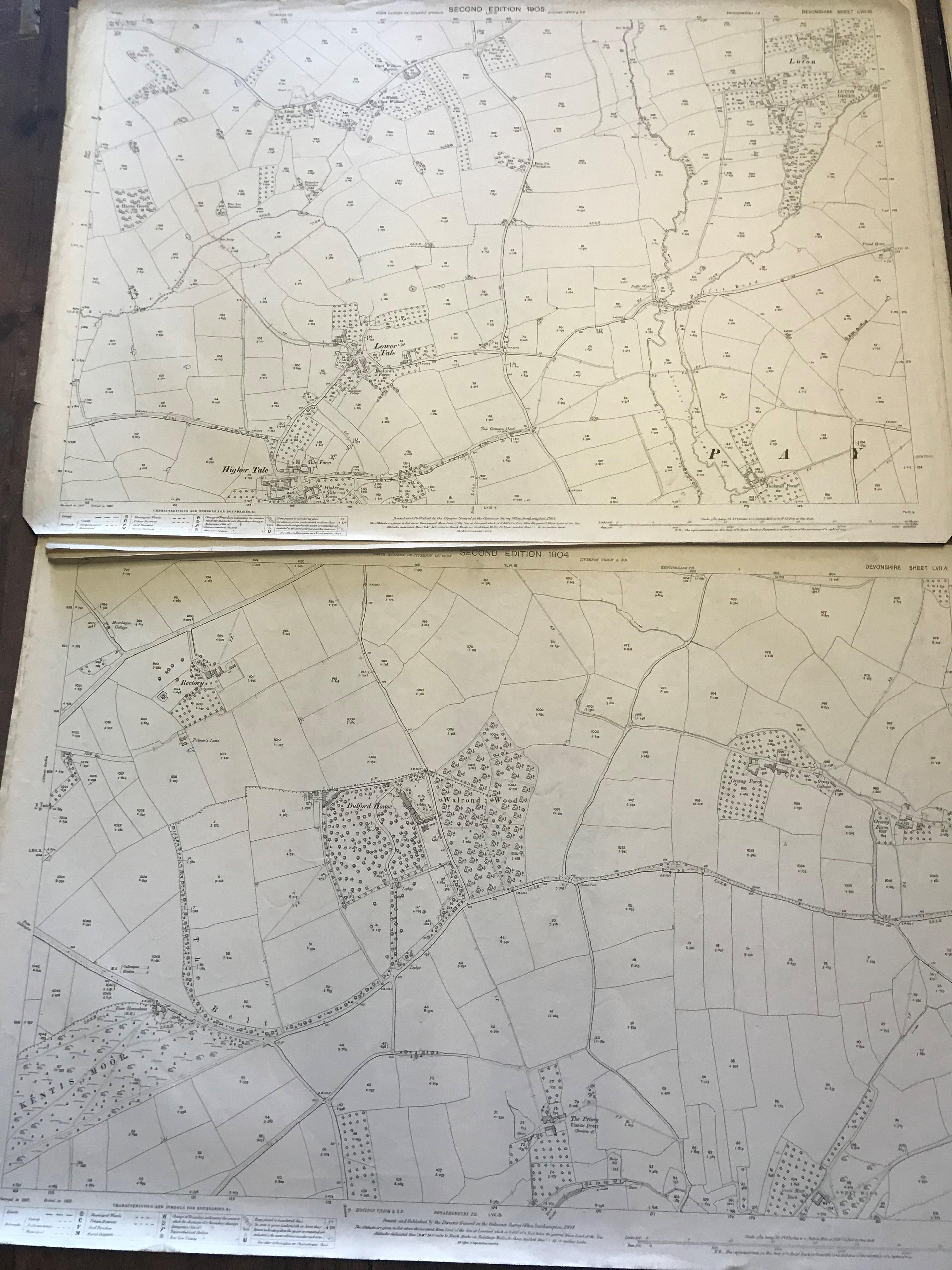 COLLECTION OF THIRTY 1:2500 ORDNANCE SURVEY MAPS covering Dunkerswell; Kennford; Luppitt; - Image 8 of 14