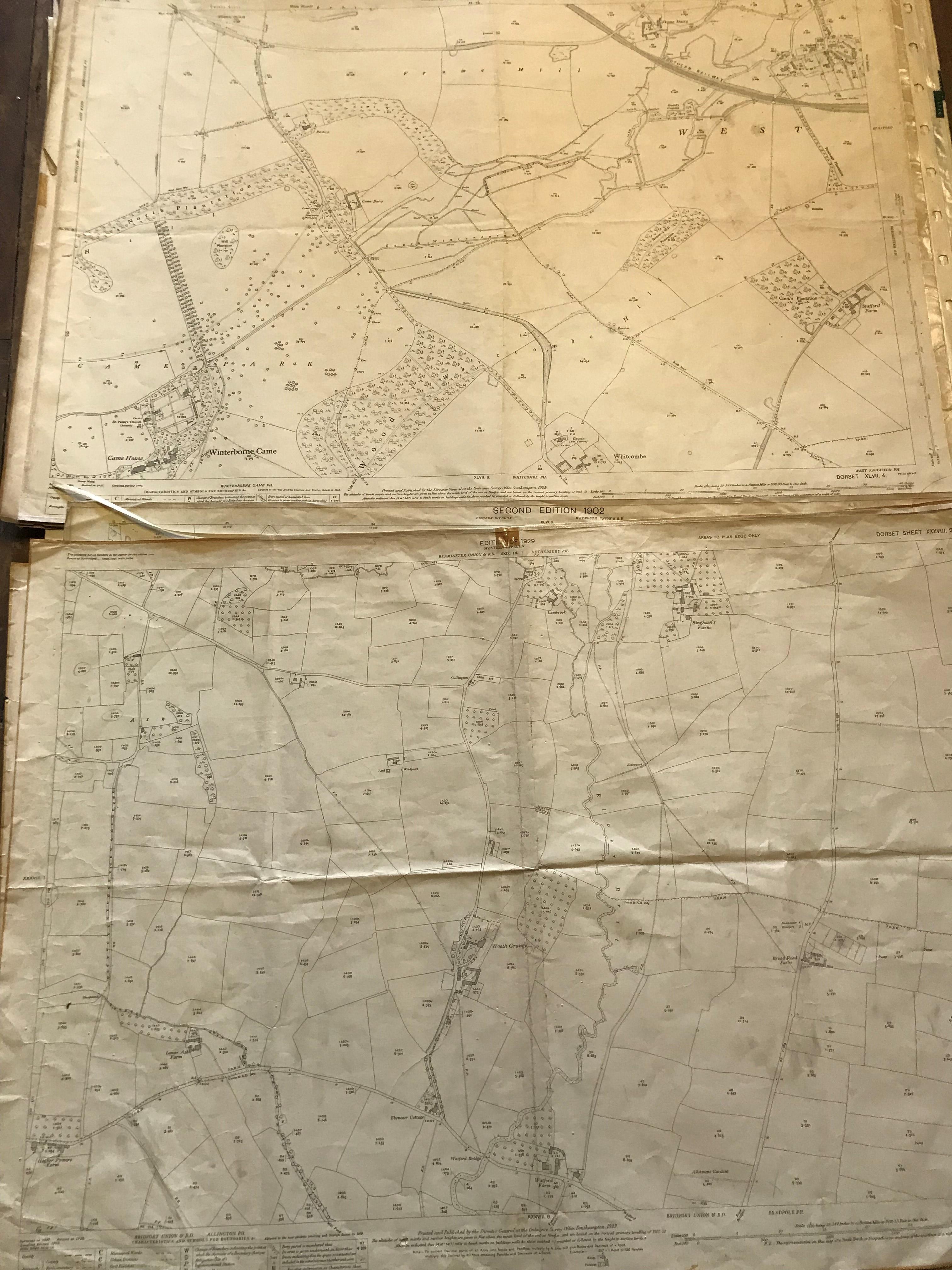 COLLECTION OF THIRTY 1:2500 ORDNANCE SURVEY MAPS covering Middle chinnock; Broadwindsor; Frome St - Image 8 of 14