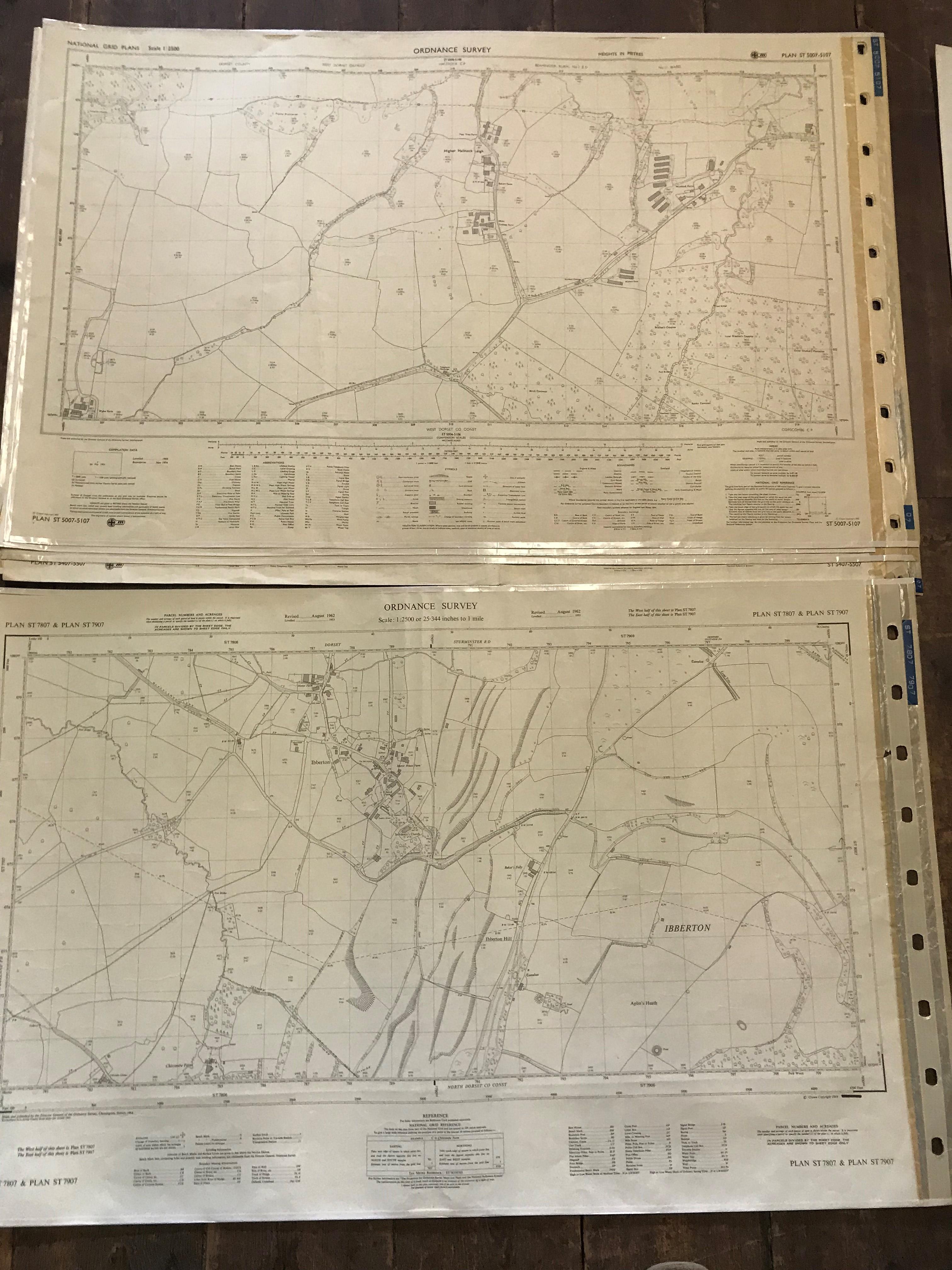 COLLECTION OF THIRTY 1:2500 ORDNANCE SURVEY MAPS covering West Quantoxhead; Watchet; Middlemarsh; - Image 16 of 17