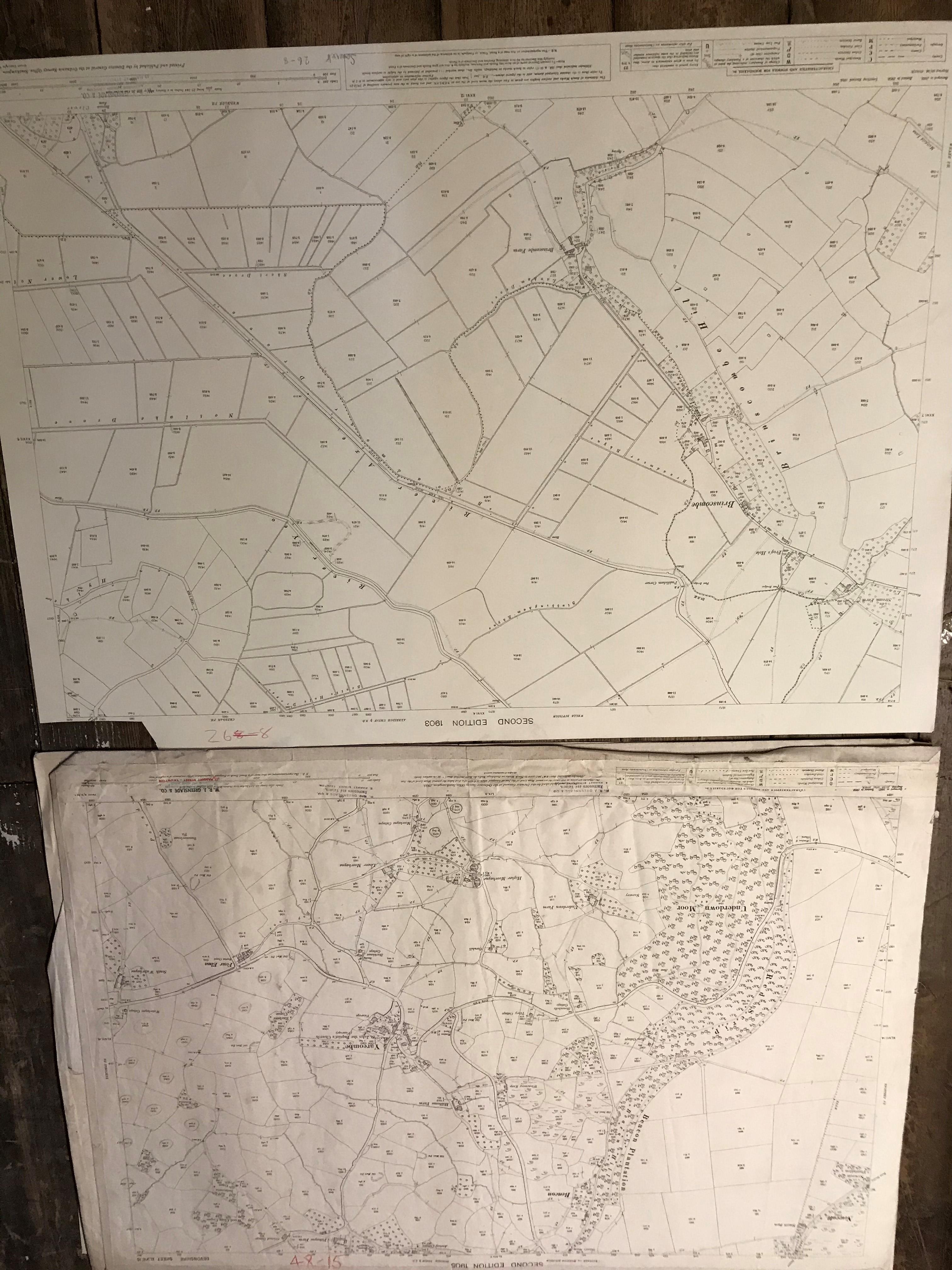 COLLECTION OF THIRTY 1:2500 ORDNANCE SURVEY MAPS covering Bowden; Biscombe; Chapelhayes, - Image 11 of 13