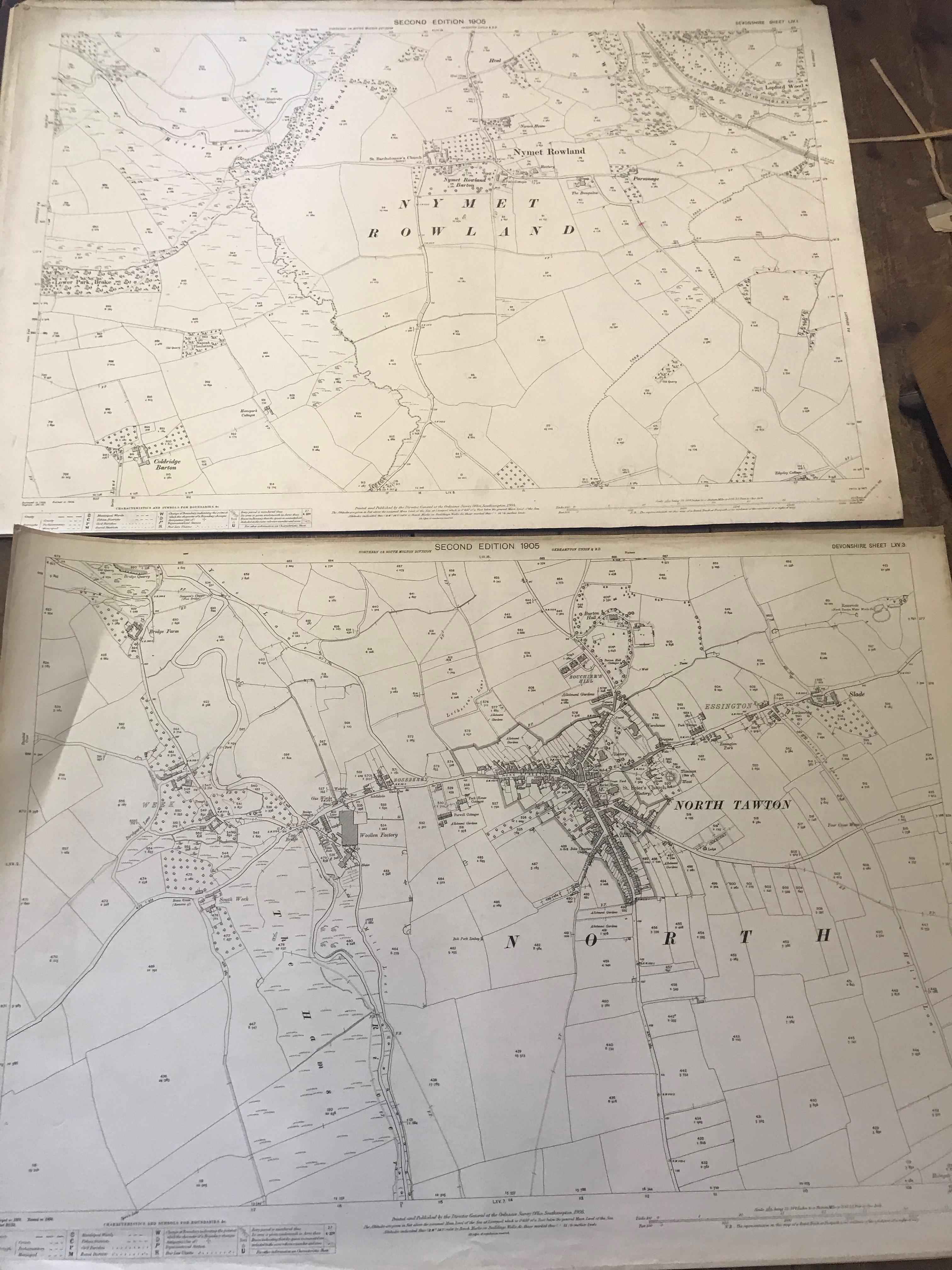 COLLECTION OF THIRTY 1:2500 ORDNANCE SURVEY MAPS covering Dunkerswell; Kennford; Luppitt; - Image 11 of 14