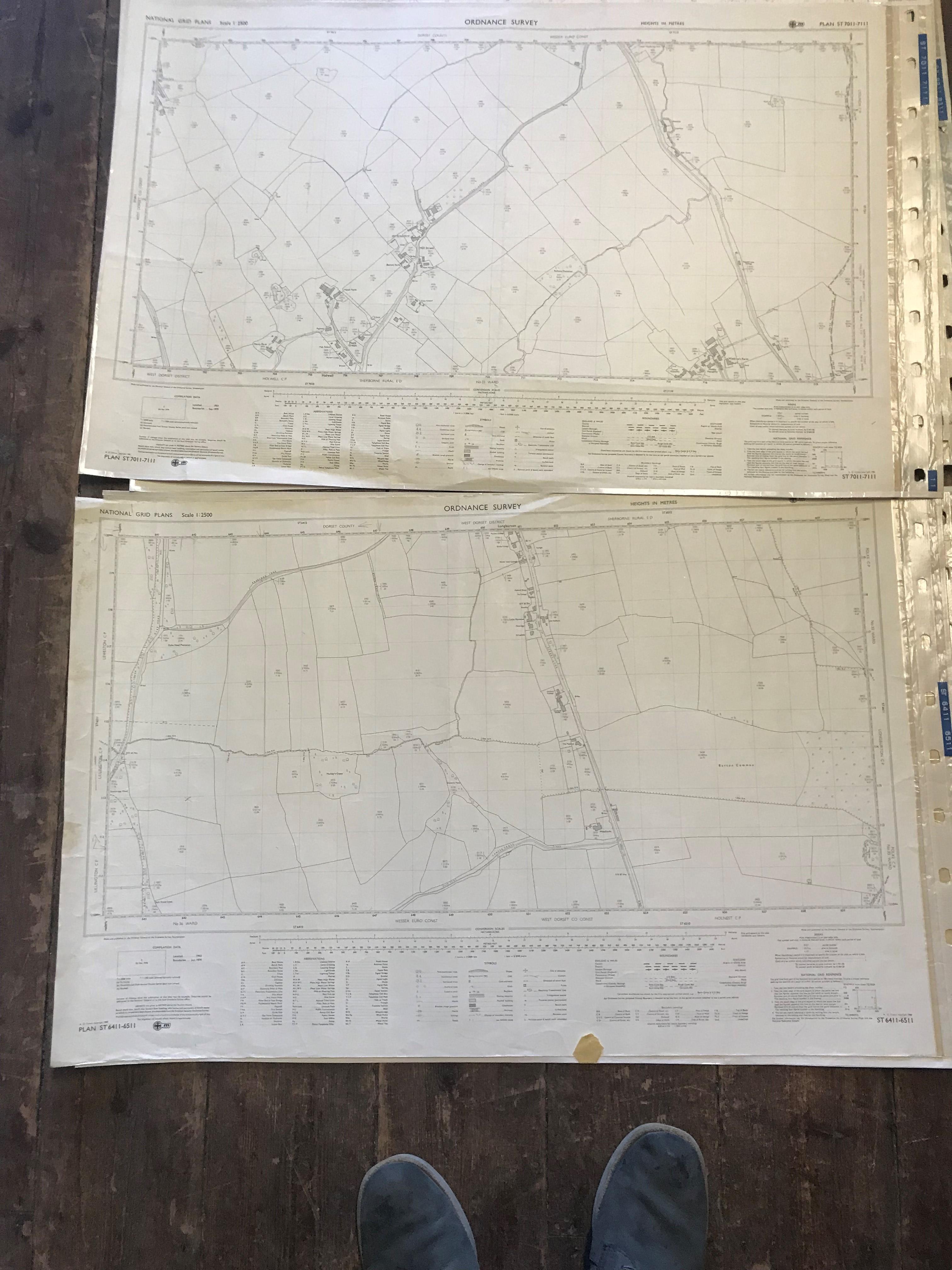 COLLECTION OF THIRTY 1:2500 ORDNANCE SURVEY MAPS covering West & Middle Chinnock; Cheddon Down; - Image 11 of 16