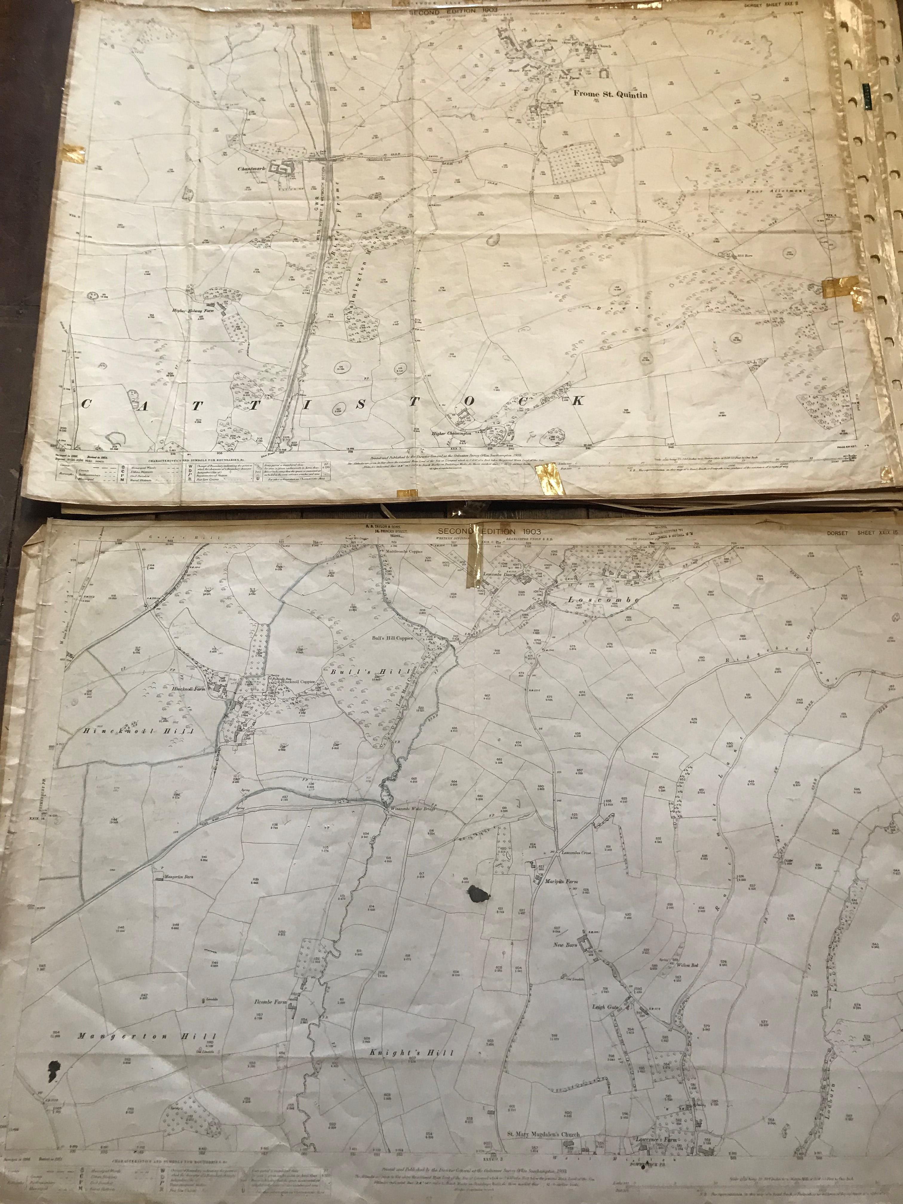 COLLECTION OF THIRTY 1:2500 ORDNANCE SURVEY MAPS covering Middle chinnock; Broadwindsor; Frome St - Image 4 of 14