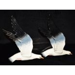 TWO BESWICK SEAGULL PLAQUES model 922-1, 31cm high Condition Report : both in good condition