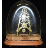 A SINGLE FUSEE BRASS SKELETON CLOCK unsigned, on velvet and wooden base with glass dome, 46cm high