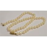 A 14KT GOLD CLASP VINTAGE PEARL CHOKER double knotted between each pearl, choker length approx. 38.