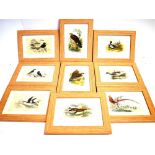 TWENTY ONE VICTORIAN HAND COLOURED ORNOTHOLOGICAL PRINTS each framed and glazed, 26cm x 20cm