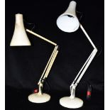 TWO HERBERT TERRY ANGLEPOISE LAMPS model 90, on circular bases, cream colourway