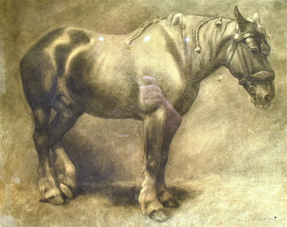 MARGARET BATTAMS (1881-1974) a study of a heavy horse, charcoal and black crayon, signed, 40 x 50cm