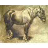 MARGARET BATTAMS (1881-1974) a study of a heavy horse, charcoal and black crayon, signed, 40 x 50cm