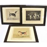 THREE DOG RELATED PRINTS: 'Mr. Obaldestons Furrier' (1820)'; 'Lord Coventry's Rambler (1873) and
