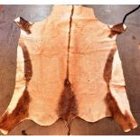 A GEMSBOK HIDE 138cm x 204cm and half antelope hide (2)