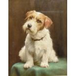 ENGLISH SCHOOL Study of a terrier Pastel on paper 43cm x 33cm