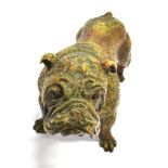 A COLD PAINTED CAST METAL FIGURE OF A STANDING BULLDOG in the manner of Bergmann, marked to an