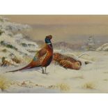 RICHARD ROBJENT (BRITISH b.1937) 'Pheasants' Watercolour Monogrammed lower left, inscribed verso '