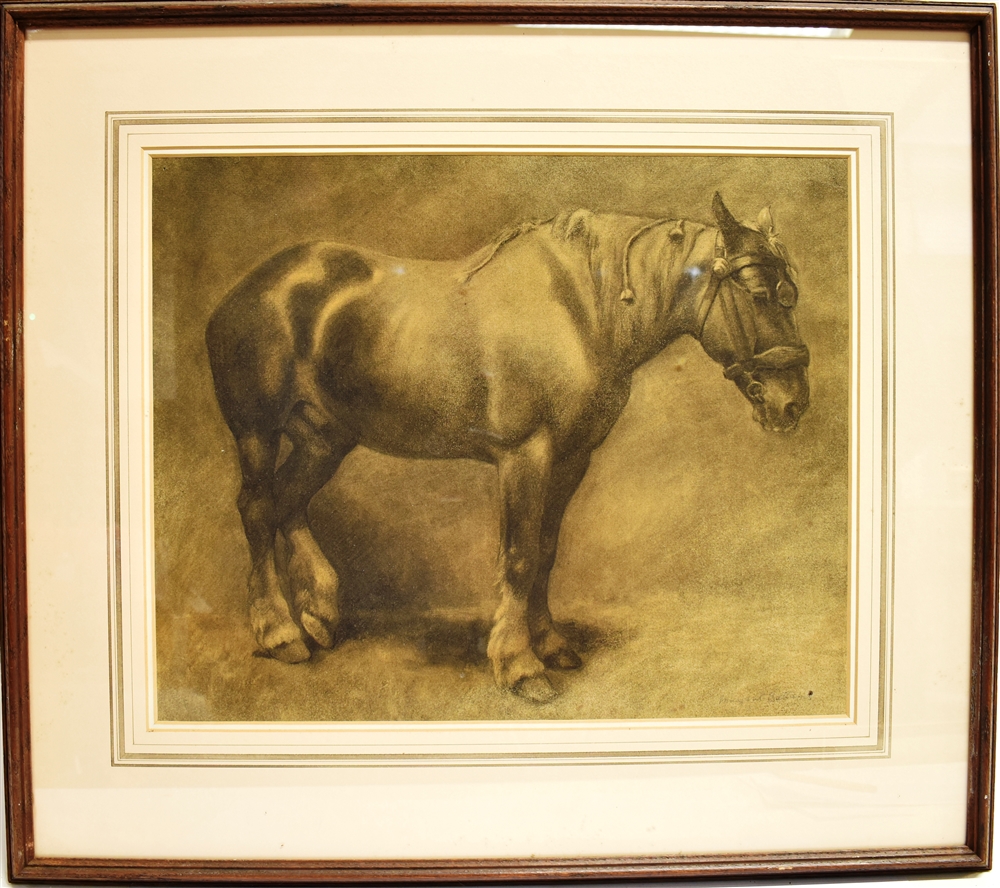 MARGARET BATTAMS (1881-1974) a study of a heavy horse, charcoal and black crayon, signed, 40 x 50cm - Image 2 of 3