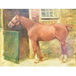 GEORGE DENHOLM ARMOUR (1864-1949) 'Gilpin': portrait of a bay horse in a yard Oil on board Signed