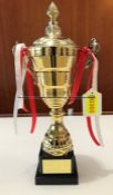 Trophy cup for the Liverpool FC Chinese New Year 2020 Table Tennis Championship at Liverpool