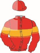 The British Horseracing Authority Sale of Racing Colours: RED, GOLD fringed hoop and armlets, RED