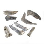 Palaeontology: A collection of fossilised bones and jaws, circa 120,000 years old